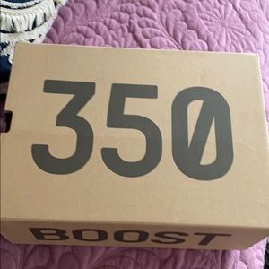 Adidas Yeezy boost 350